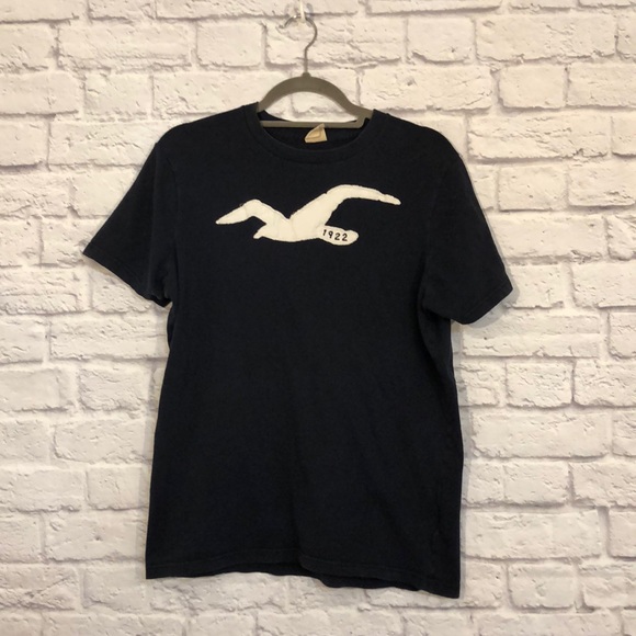 Hollister Other - Men’s Hollister T-Shirt (slim fit) -EUC